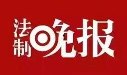 仙鱼最新爆料新闻,最新仙鱼爆料新闻深度解析